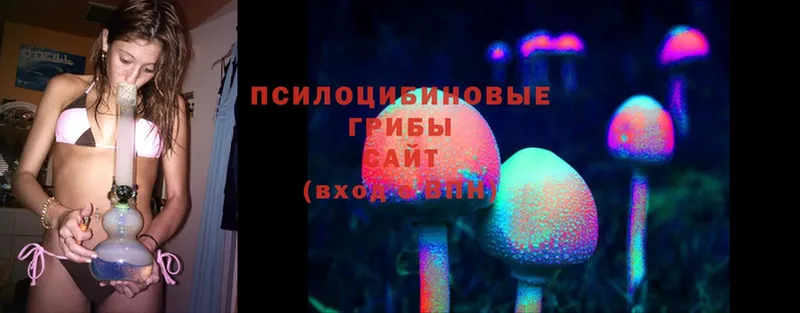 Галлюциногенные грибы Psilocybine cubensis  omg ССЫЛКА  Менделеевск 